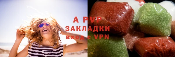 PSILOCYBIN Аркадак