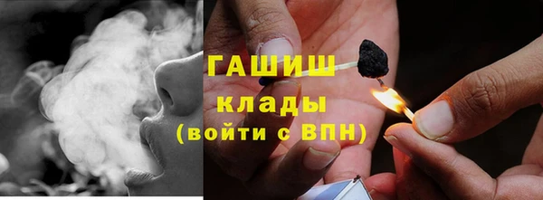 PSILOCYBIN Аркадак