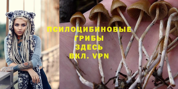 PSILOCYBIN Аркадак