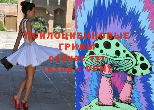 PSILOCYBIN Аркадак