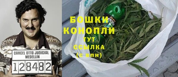 PSILOCYBIN Аркадак