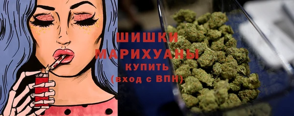 PSILOCYBIN Аркадак